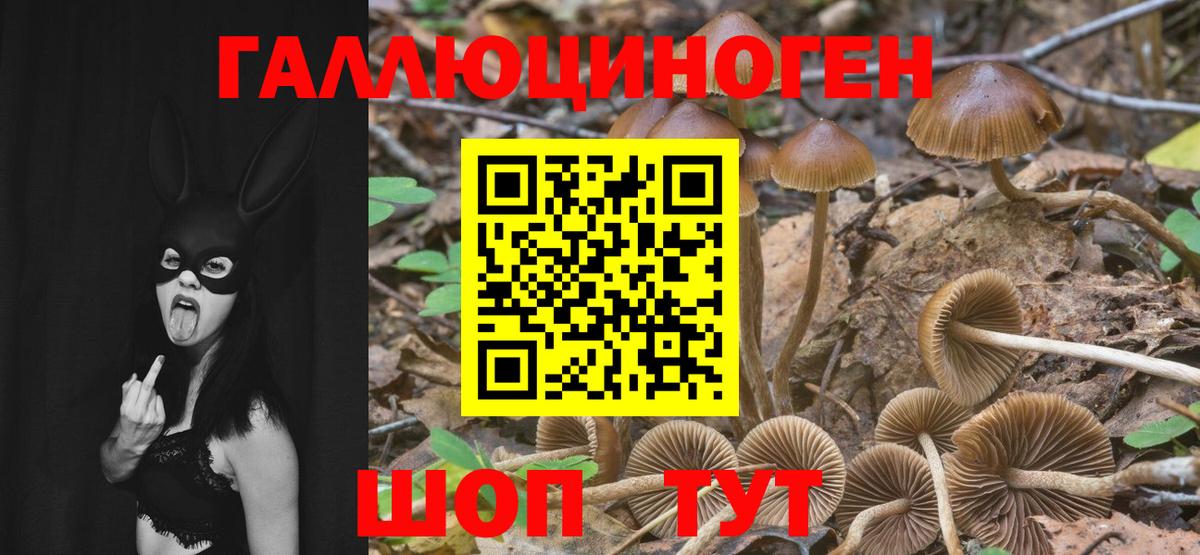 Чайковский  Псилоцибиновые грибы мицелий  Вход с VPN  Галлюциногенные грибы MAGIC MUSHROOMS 